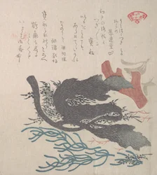 様々な海藻 19世紀