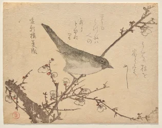 梅の枝にウグイス