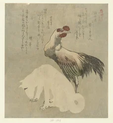 雄鶏と犬