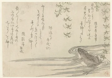 柳の木の下のカエル