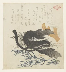 海藻