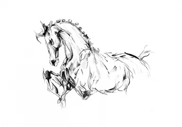 躍動感あふれる馬のスケッチ