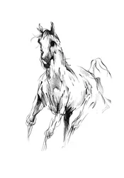 駆け抜ける馬のスケッチ