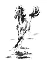 疾走する野生の馬