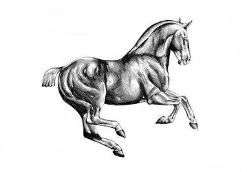 堂々とした馬の絵