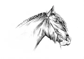 堂々とした馬の絵