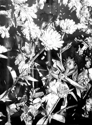 モノクロームの庭に咲く花々