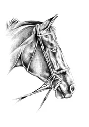 気品あふれる馬の絵