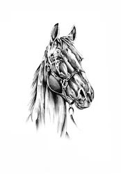 生き生きとした馬の肖像画