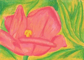 鮮やかなピンクの花