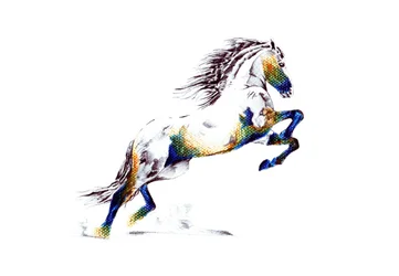 力強く立ち上がる馬
