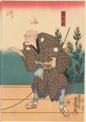 二匹の蝶とシロタユ