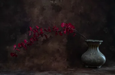 赤い花