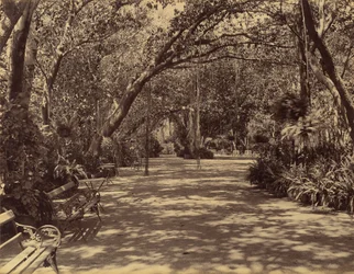 Sukh-Vilas Palace Gardens、1880–90。