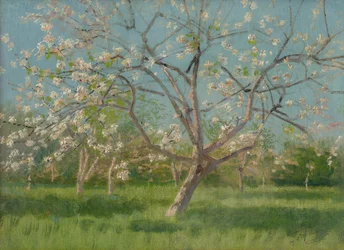 花の果樹園、1900-10