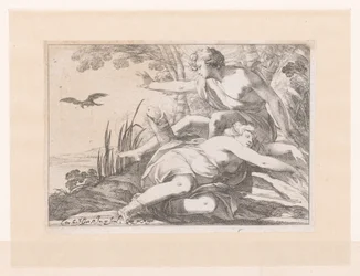 アポロ・エン・コロニス