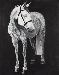 White Horse 2, c.2024 (キャンバスにアクリル)