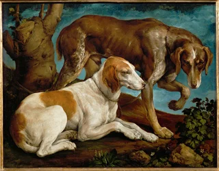 Deux chiens de chasse lies a une souche - 木の切り株につながれた2匹の狩猟犬...