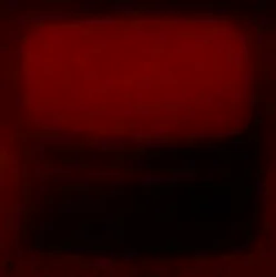 ベルベットと火、2022年