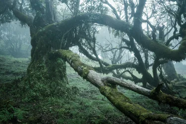 剥奪、2025年（写真）