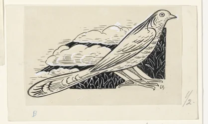 鳩