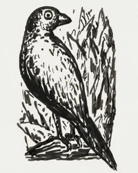 バード（1891年頃～1941年）
