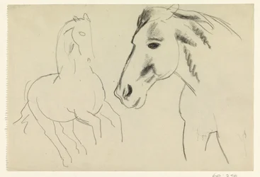 疾走する馬と馬の頭