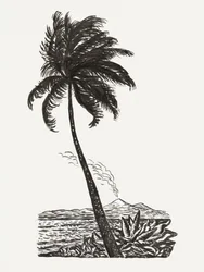 『島のあるヤシの木』（1891年頃～1941年）