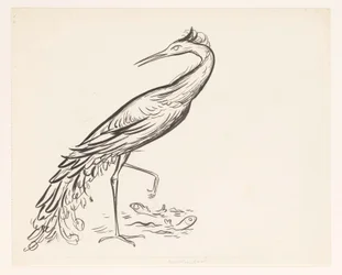 足元に 2 匹の魚がいる水辺のサギ