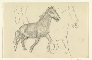 2 つの実行中の馬