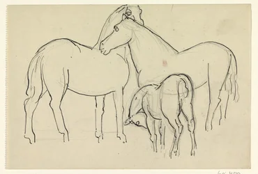 2 頭の馬と子馬