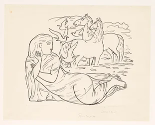2 頭の馬といくつかのカモメと一緒にビーチに横たわっている女性