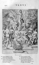 金星、1615