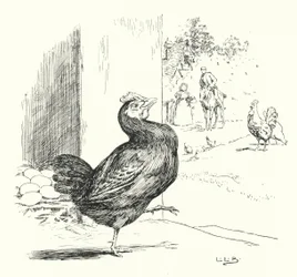 Higgley Piggley, my black hen (in engraving)