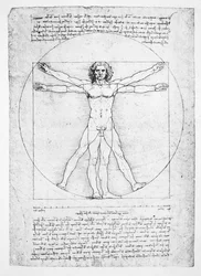 人物のプロポーション（ヴィトルヴィウス作）、1492年頃（ファクシミリ