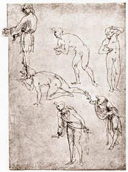 羊飼いの礼拝、c1478-1480。
