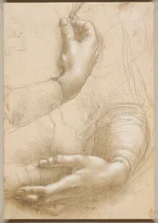 腕と女性の手c。 1480。