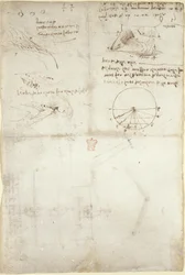 Arundel 263, f.126v 水に関する 3 つのメモとスケッチ。 鳥の飛行図、c.1500-5（紙にペンとインク）
