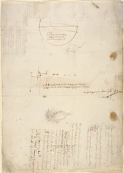 Arundel 263, f.33v 「Codex Arundel」からの力学に関するメモと図 (紙にペンとインク)