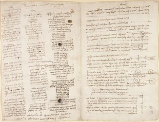 Arundel 263, f.42v, f.43 「コデックス アランデル」からのレオナルドの予言 (「Profetie」) の短いテキスト (紙にペンとインク)