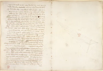 Arundel 263, f.57v, f.46 「Codex Arundel」からの水に関するメモ (紙にペンとインク)