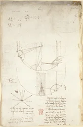 Arundel 263、f.85v 反射のコースティクスに関する光学系の図。 パーカッションの力に関して、またアリストテレスの原則「オグニ・アティオン・ファクト・ダッラ・ナチュラ・エ・ファクタ・ネル・ピウ・ブリーブ・モード」への言及とともに、力学に関するメモとスケッチ、