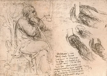 カールで落ちる髪の描写を示す図、c1472-c1519 1883