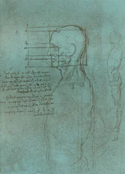 人物の比率の理論を説明する図、c1472-c1519 1883。