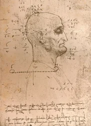 犯罪者の頭の絵、c1472-c1519 1883