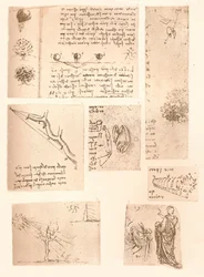 風景画の要素を示す5つの図、c1472-c1519 1883