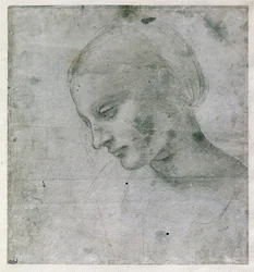 若い女性の頭または聖母の頭、c.1490（紙にシルバーポイント）