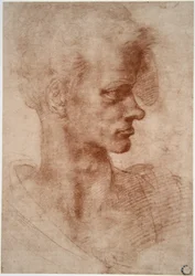 レオナルド・ダ・ヴィンチ（1452 - 1519）：青年の風刺画肖像（イマジン