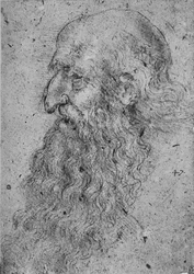 左のひげを生やした老人のプロファイル、c1480 1945