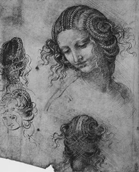 女の頭と髪形の研究、c1480 1945